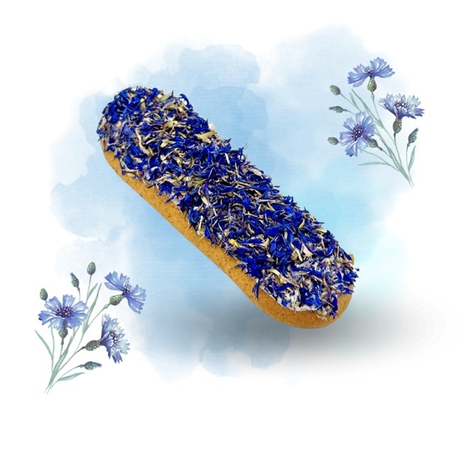 BISCOTTO GLASSATO ECLAIR FIORDALISO BLU CANDY HORSE  